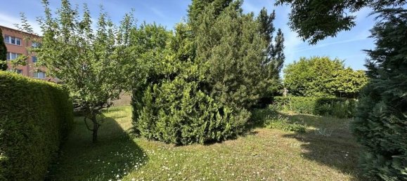 3 Schlafzimmer Haus in Mecklenburgische Seenplatte, Germany, Nr. 316660 14