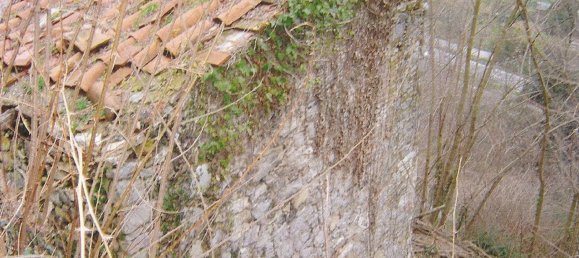  قطعة أرض في Borgo a Mozzano, Italy 16000متر مربع رقم 257220 2