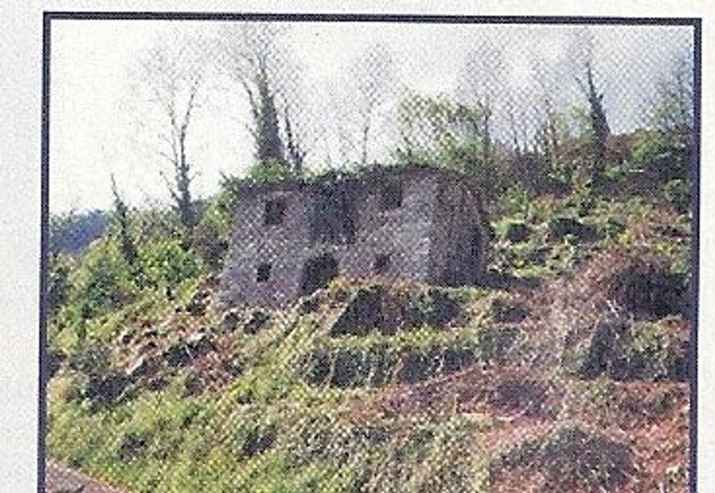  قطعة أرض في Borgo a Mozzano, Italy 16000متر مربع رقم 257220