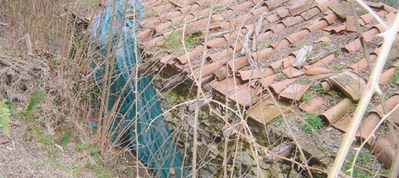  قطعة أرض في Borgo a Mozzano, Italy 16000متر مربع رقم 257220 3