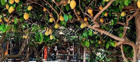 Apartamento 2+1 em Bodrum, Turkey N.º 31931 4