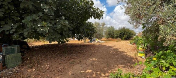 5 chambres Villa à Pechao, Portugal No. 102180 7