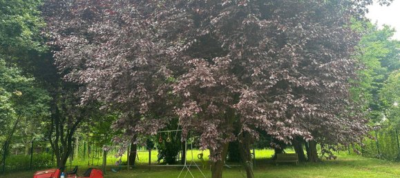 4 bedrooms House in Viersen, Germany No. 283112 5