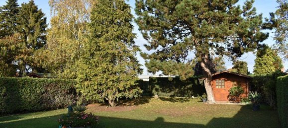 2-Zimmer Bungalow in Trausdorf an der Wulka, Austria, Nr. 140979 6