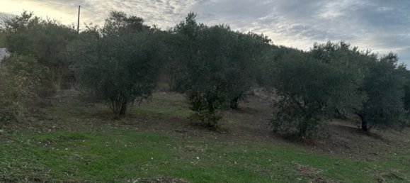 4 rooms House in Guardialfiera, Italy No. 162366 15