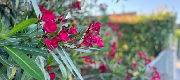 4 rooms Apartment in Ponsacco, Italy No. 143964 9