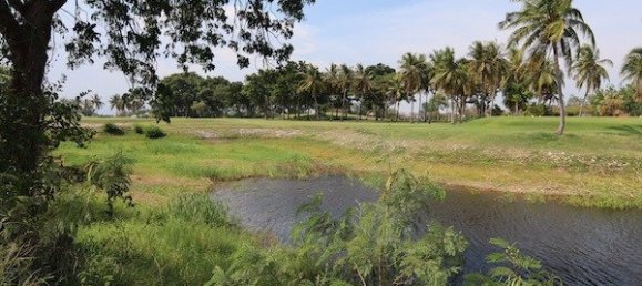  Commercial property in Hua Hin, Thailand No. 6757 2