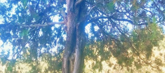 قطعة أرض في Cava de' Tirreni, Italy رقم 363852 8