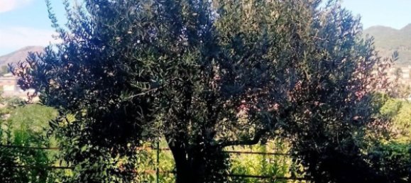 قطعة أرض في Cava de' Tirreni, Italy رقم 363852 2