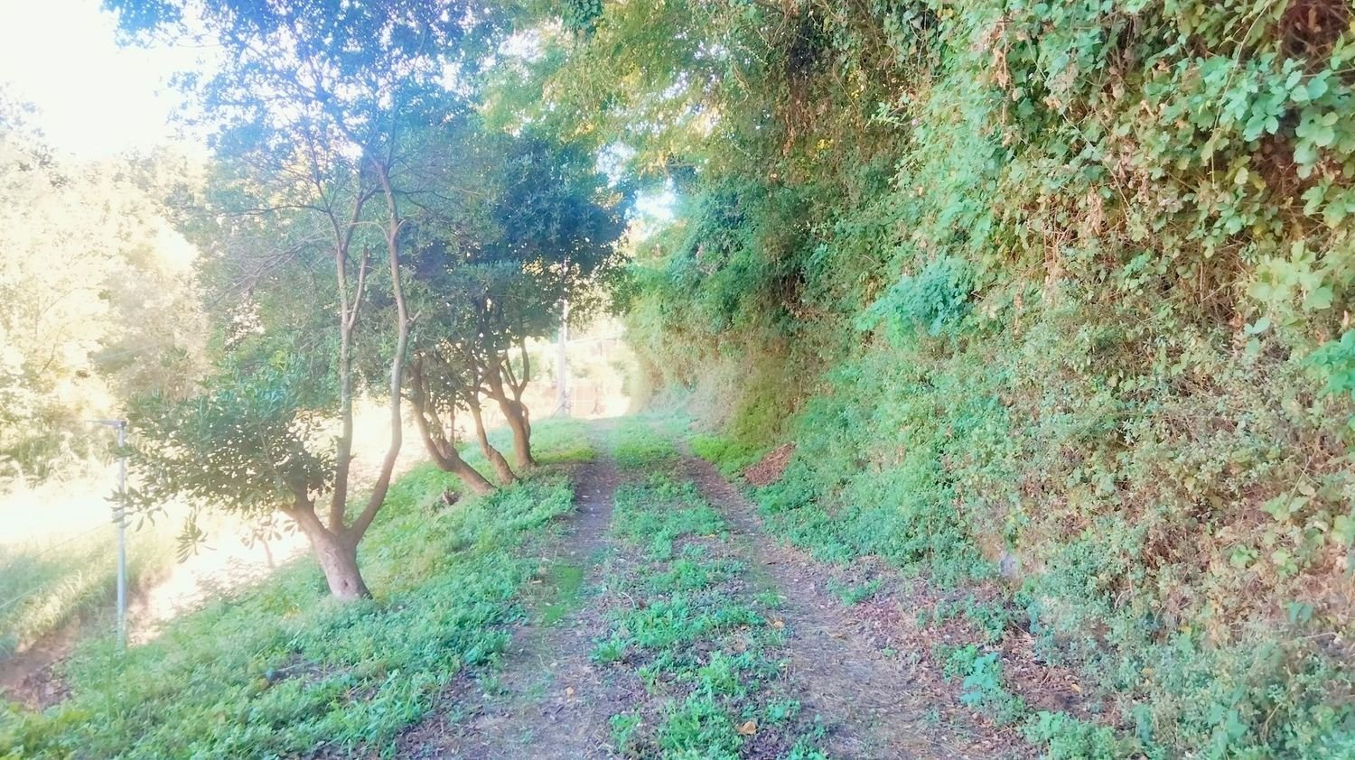 Terreno en Cava de' Tirreni, Italy No. 363852