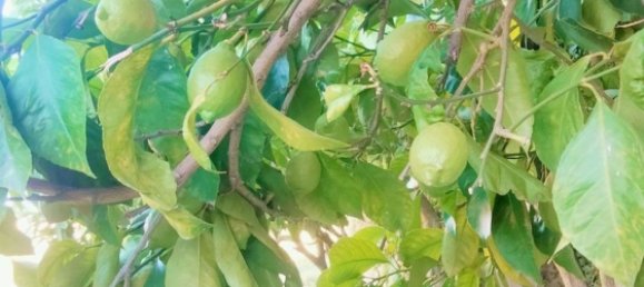 قطعة أرض في Cava de' Tirreni, Italy رقم 363852 4