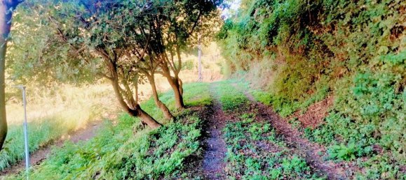 قطعة أرض في Cava de' Tirreni, Italy رقم 363852 5