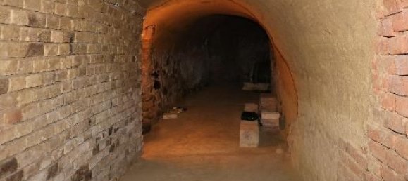 Commercial property in Grafenworth, Austria No. 133598 6