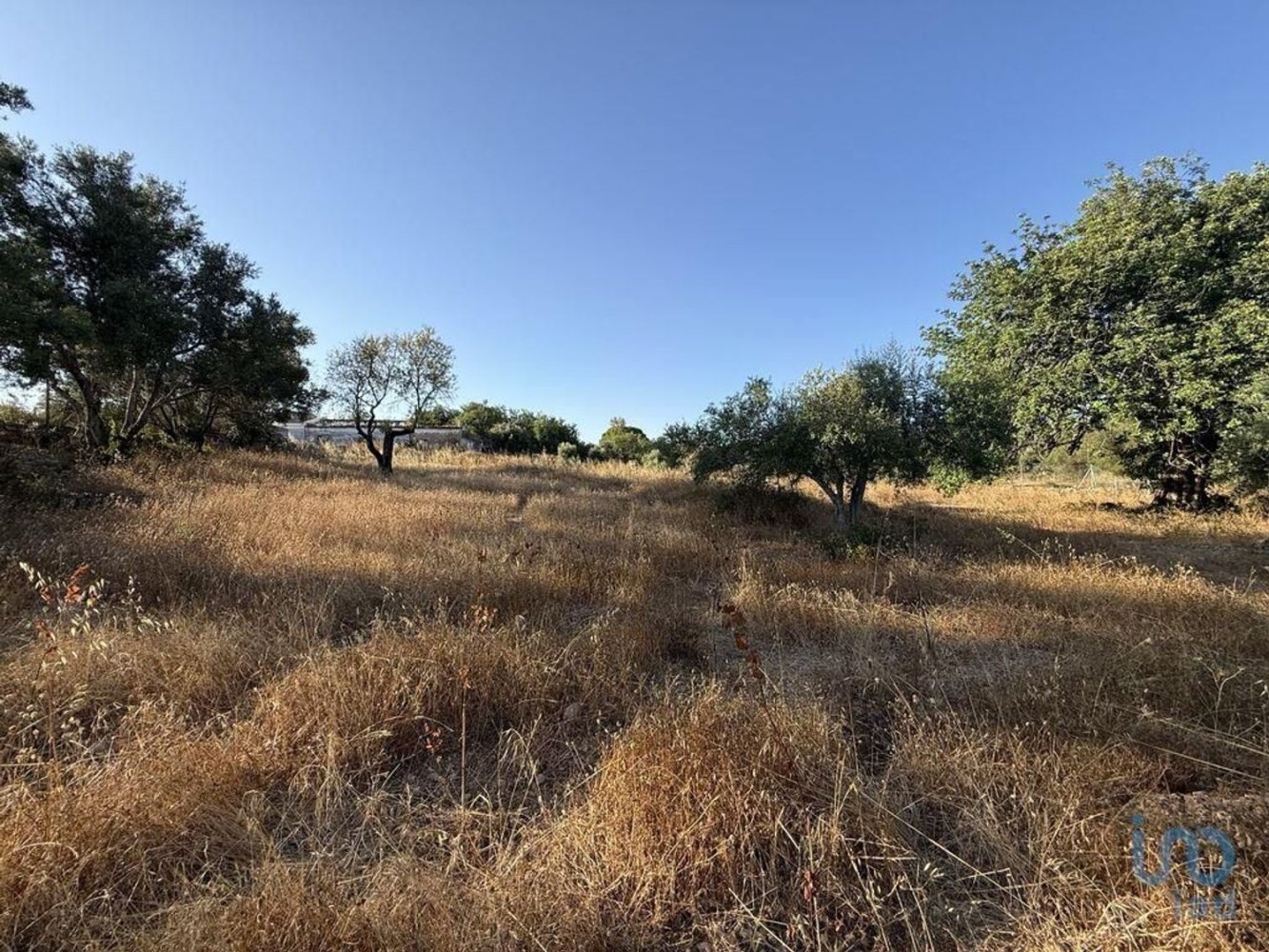  Land in Faro, Portugal No. 254588