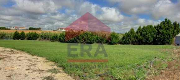 4 Schlafzimmer Haus in Atouguia da Baleia, Portugal, Nr. 112397 23