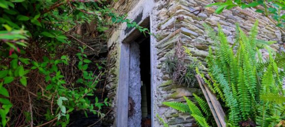 4غرفة منزل في Lavagna, Italy رقم 272386 8