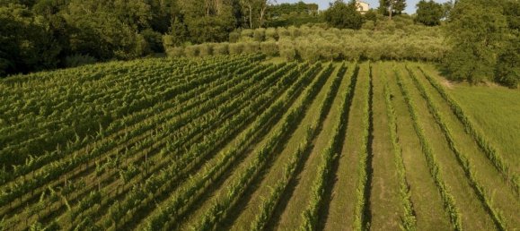 6 bedrooms Villa in Capannori, Italy No. 377450 31