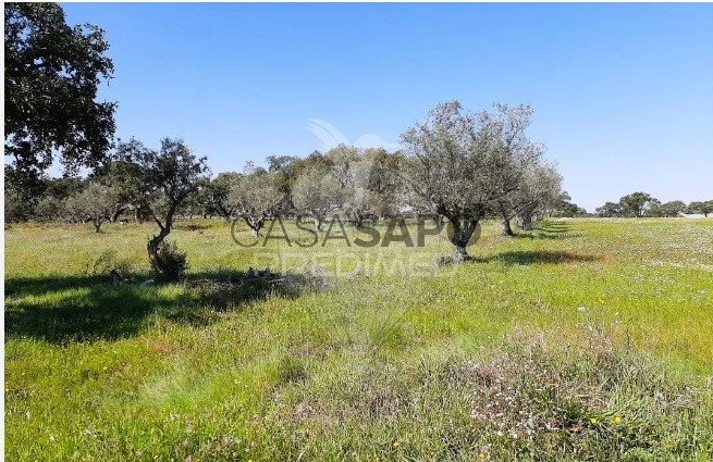  Land in Odemira, Portugal No. 274413