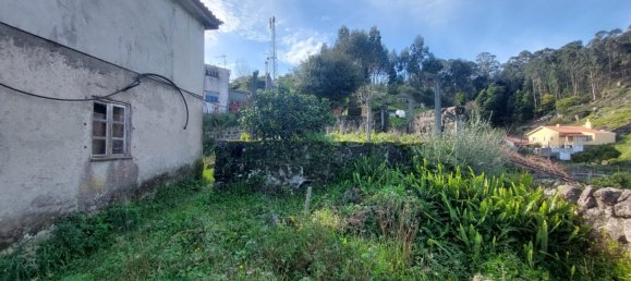 2 Schlafzimmer Haus in Viana do Castelo, Portugal, Nr. 90853 7