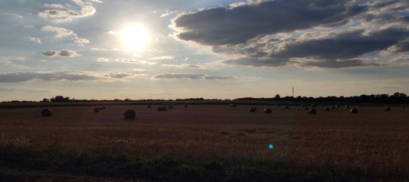 Terrain à Ostprignitz-Ruppin, Germany No. 310111 5