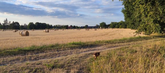 Terrain à Ostprignitz-Ruppin, Germany No. 310111 8