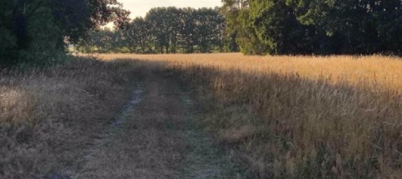 Terrain à Ostprignitz-Ruppin, Germany No. 310111 7