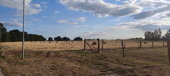 Terrain à Ostprignitz-Ruppin, Germany No. 310111 4