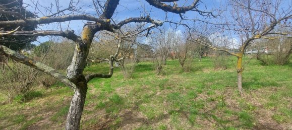 3-Zimmer Haus in Paliano, Italy, Nr. 11554 18