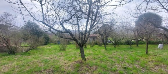 3-Zimmer Haus in Paliano, Italy, Nr. 11554 5