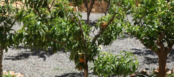 Villa T5 em Altea, Spain N.º 84745 7