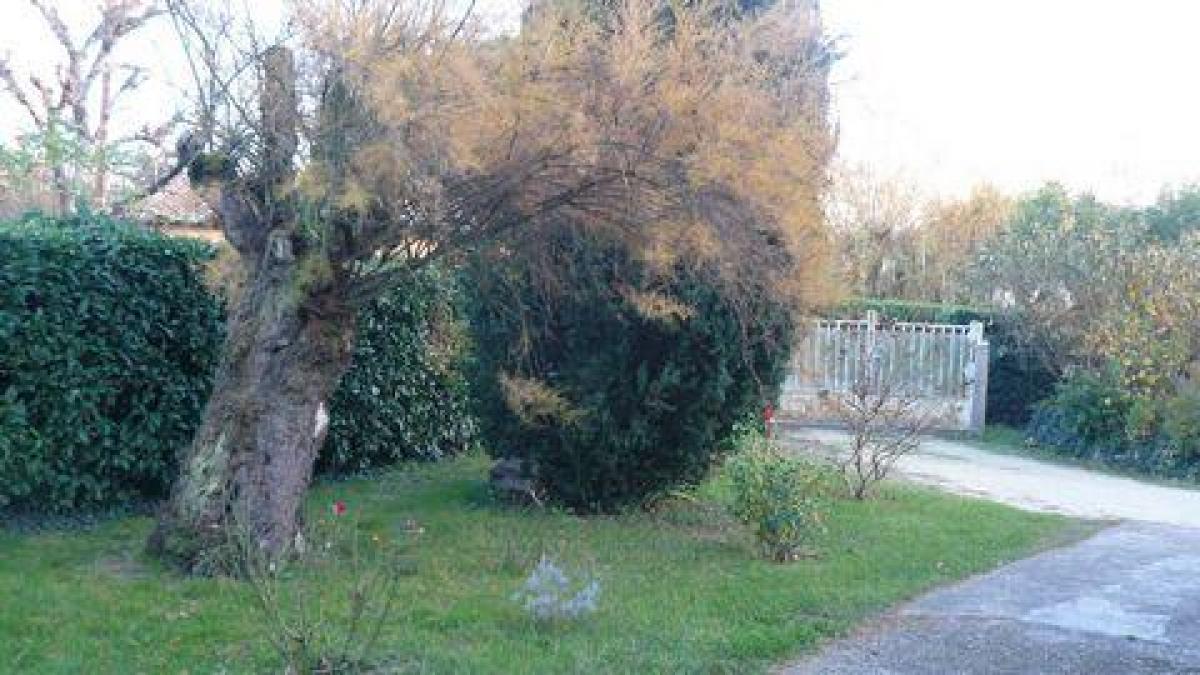 5 bedrooms House in Bergerac, France No. 11201