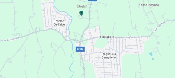 50000m² Land in Anguillara Sabazia, Italy No. 303302 2