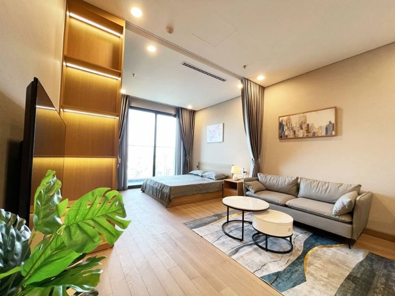 استوديو في Dong Da, Vietnam رقم 392