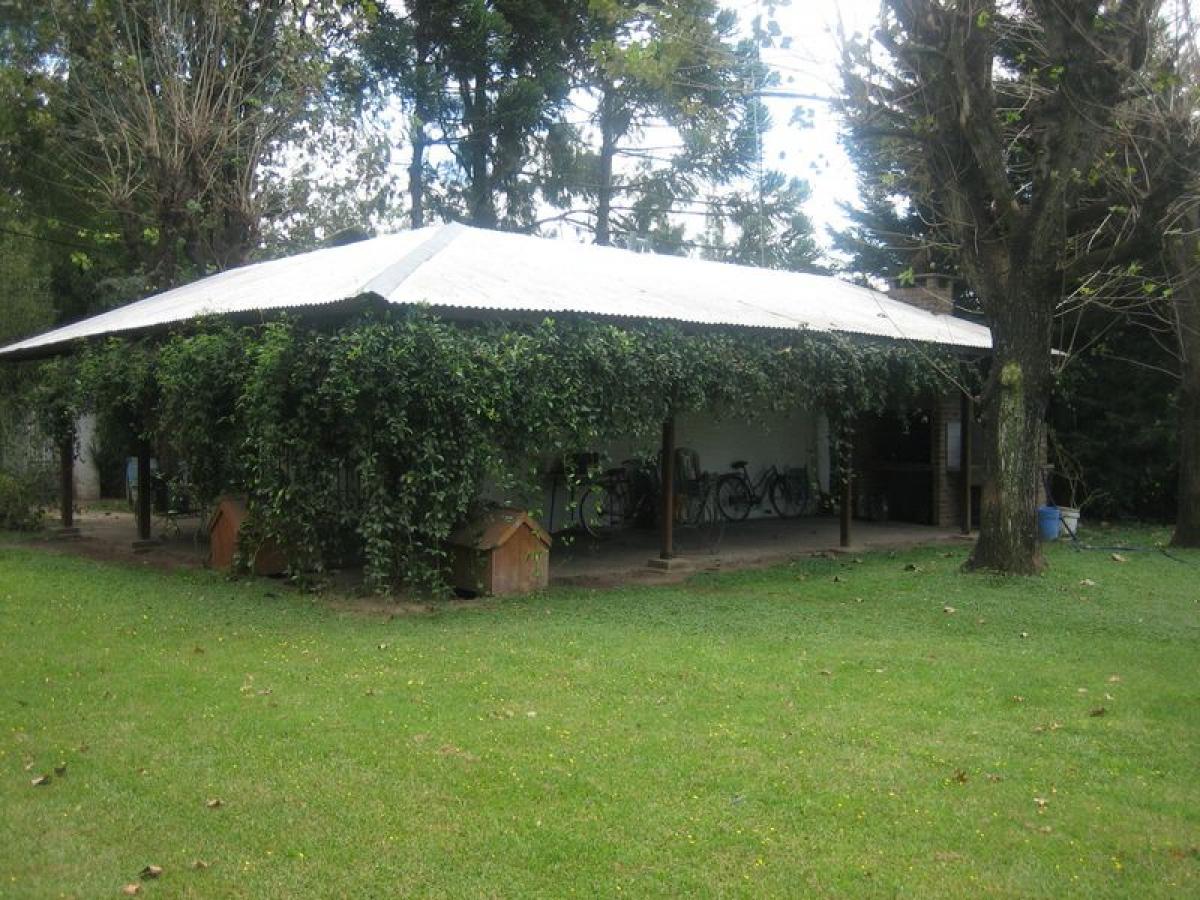 Studio in Pilar, Argentina, Nr. 1322