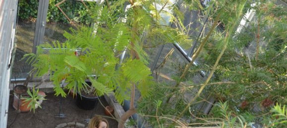 Дом с 1 спальней в Боркен, Германия № 218397 18