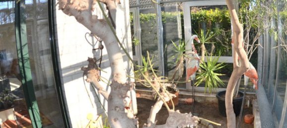 Дом с 1 спальней в Боркен, Германия № 218397 12