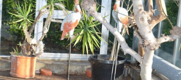 Дом с 1 спальней в Боркен, Германия № 218397 11