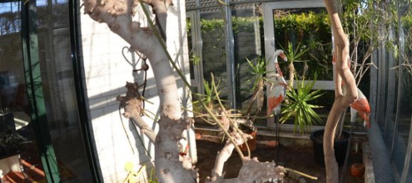 Дом с 1 спальней в Боркен, Германия № 218397 10