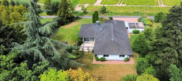 Bungalow de 4 dormitorios en Lippe, Germany No. 349207 6