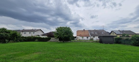  Land in Zwentendorf an der Donau, Austria No. 212026 2