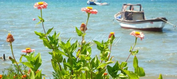 250m² Land in Didim, Turkey No. 28619 5