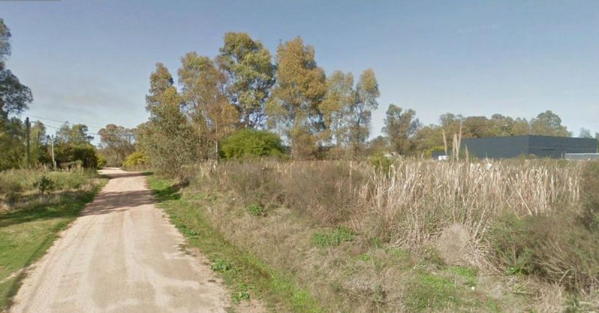 Grundstück in Maldonado, Uruguay, Nr. 14022