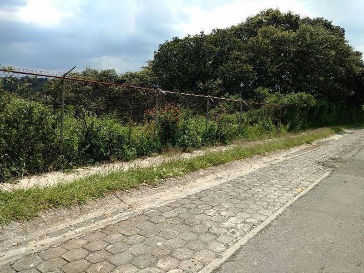  Land in Ciudad Lopez Mateos, Mexico No. 205283