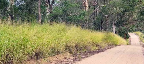 404686m² Land in Crows Nest, Australia No. 42 16