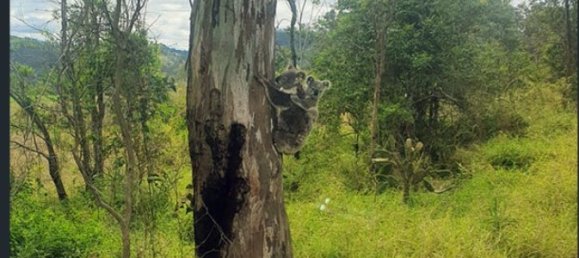 404686m² Land in Crows Nest, Australia No. 42 17