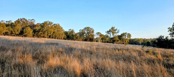 404686m² Land in Crows Nest, Australia No. 42 19