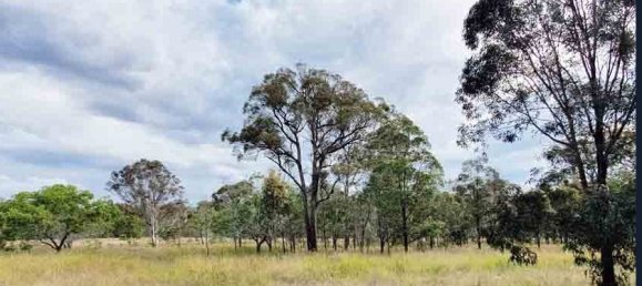 404686m² Land in Crows Nest, Australia No. 42 5