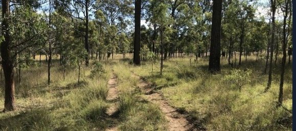 404686m² Land in Crows Nest, Australia No. 42 13