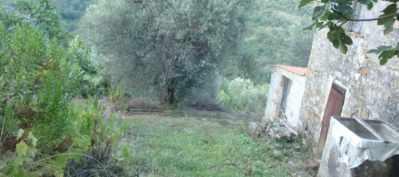 160m² Land in Trieste, Italy No. 281524 3