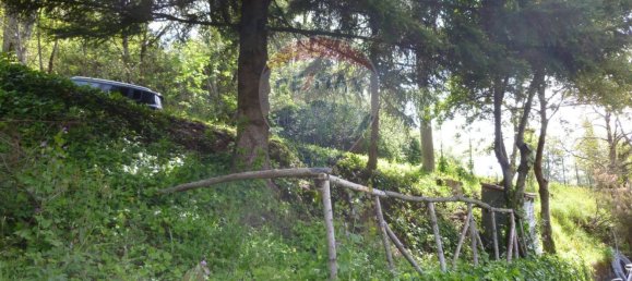 4-Zimmer Haus in Marliana, Italy, Nr. 291707 6